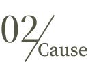 02Cause
